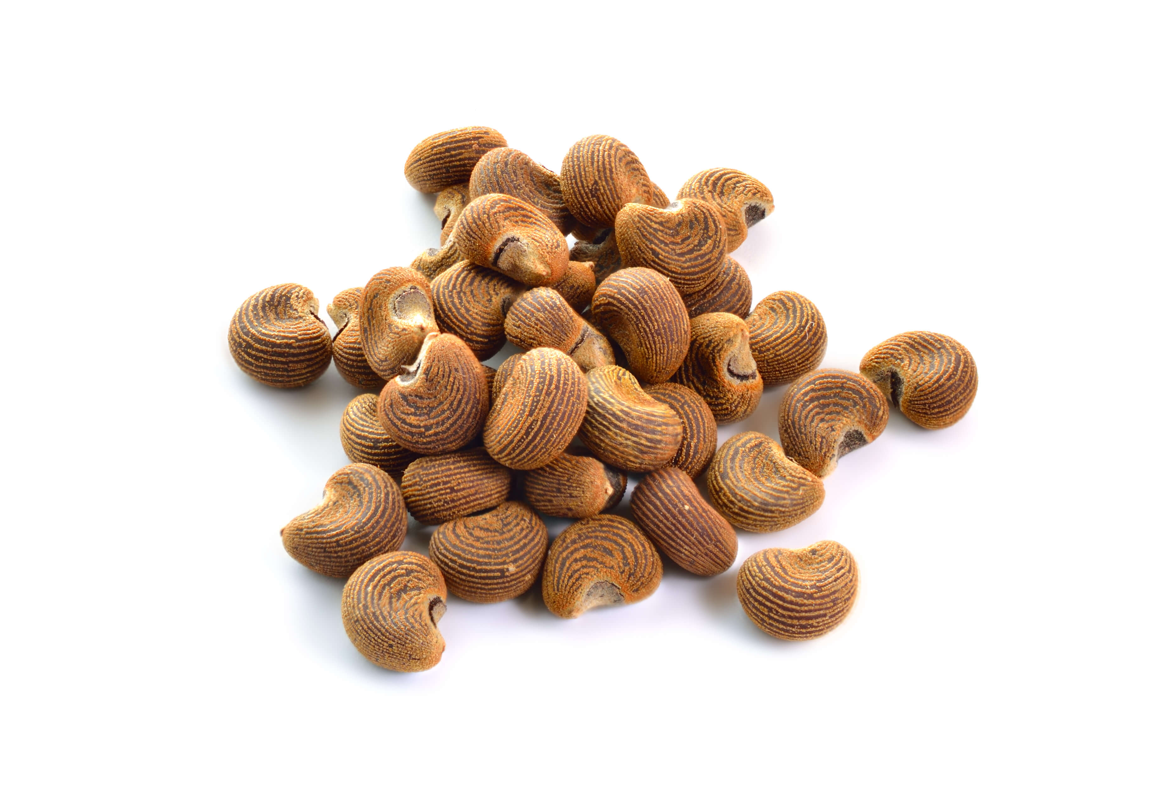 Ambrette Seeds Absolute (CAS N° 8015-62-1 / 84455-19-6)