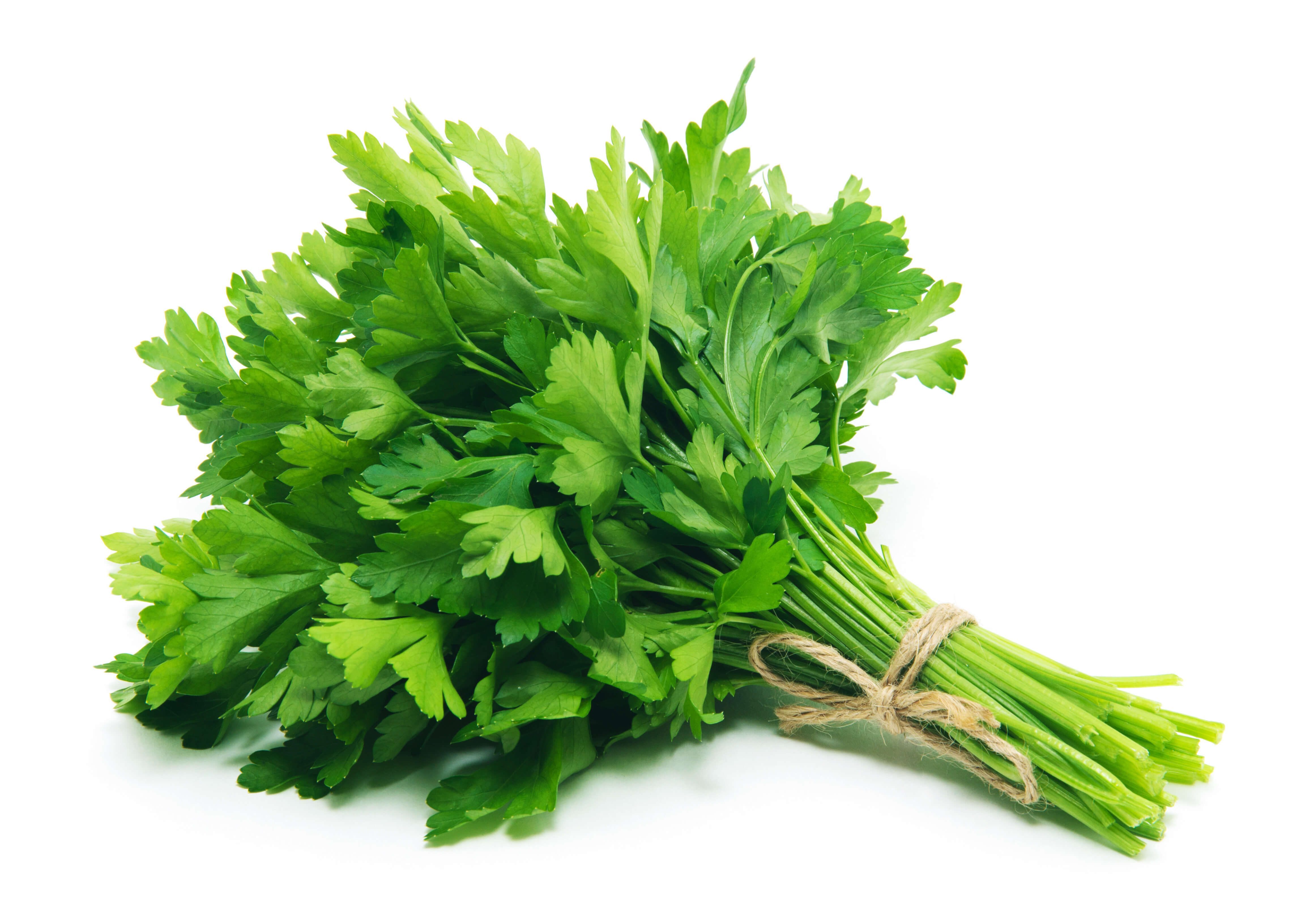 Parsley Leaf EO (CAS N° 8000-68-8)