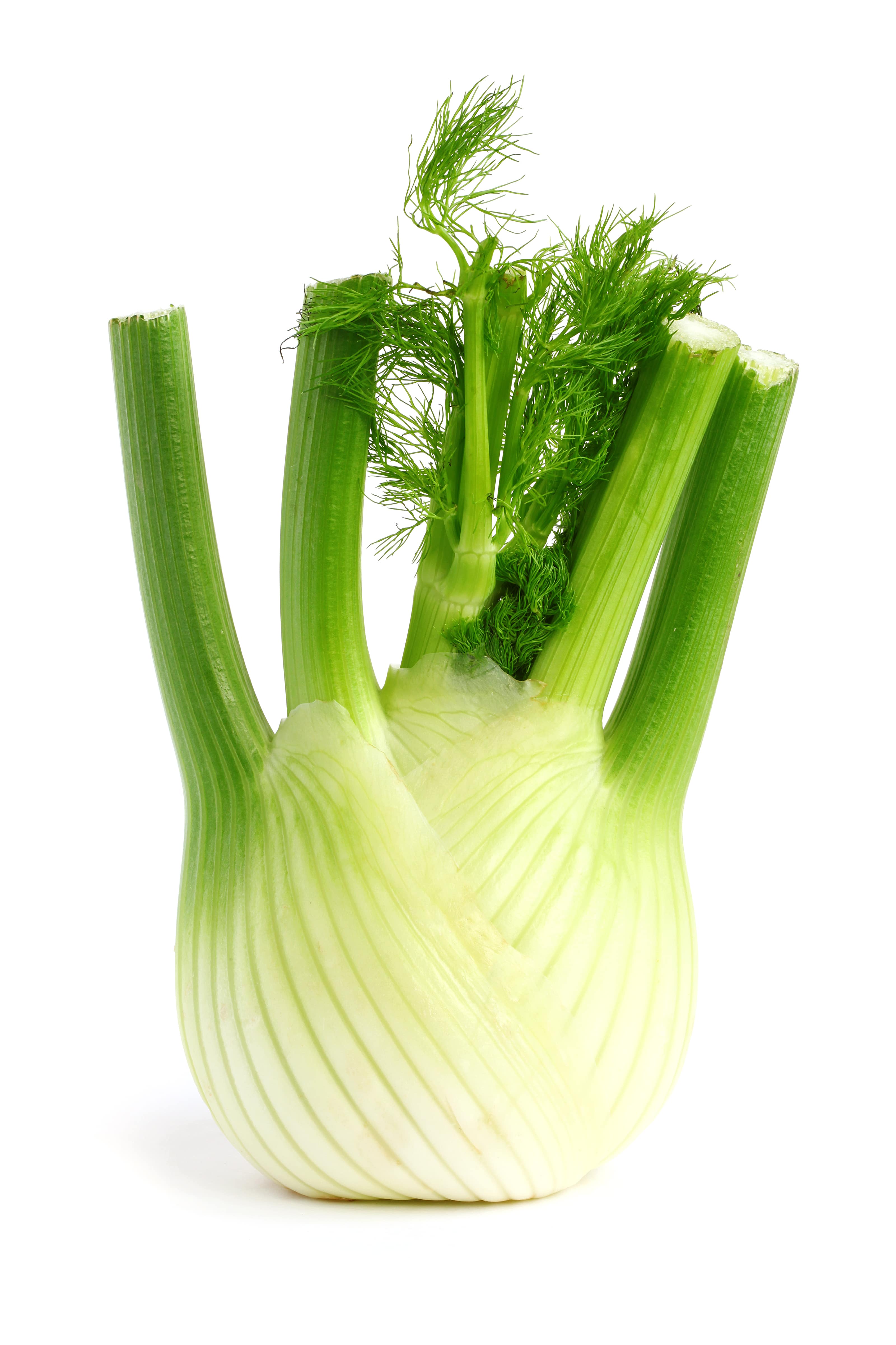 Sweet Fennel EO (CAS N° 8006-84-6)