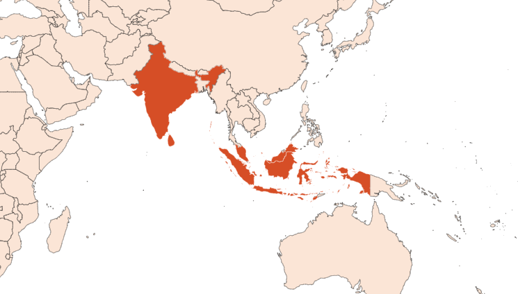 Map for Betel leaf EO (CAS N° 84775-81-5)​