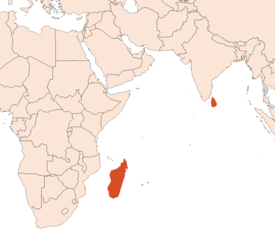 Map for Cinnamon Leaf EO (CAS N° 8015-91-6)​